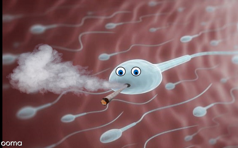 دود سیگار و قلیان بر قدرت باروری