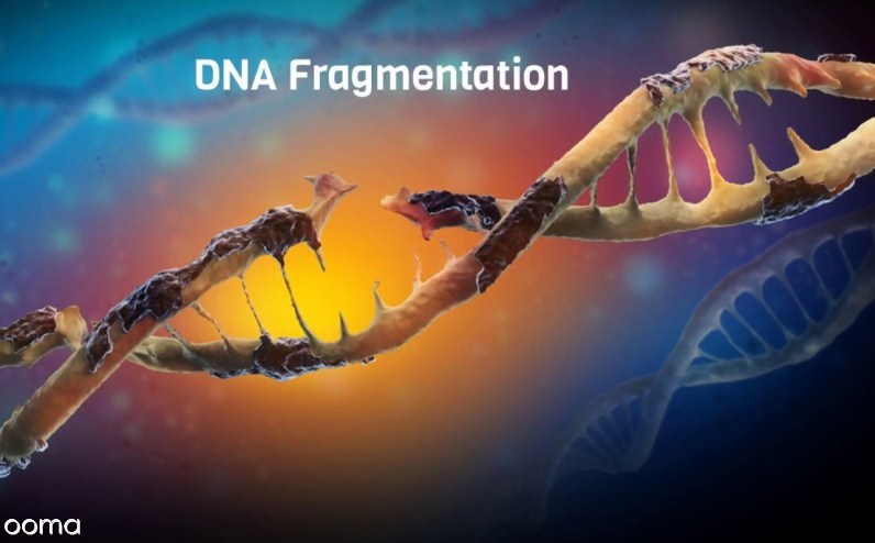 تست dna اسپرم