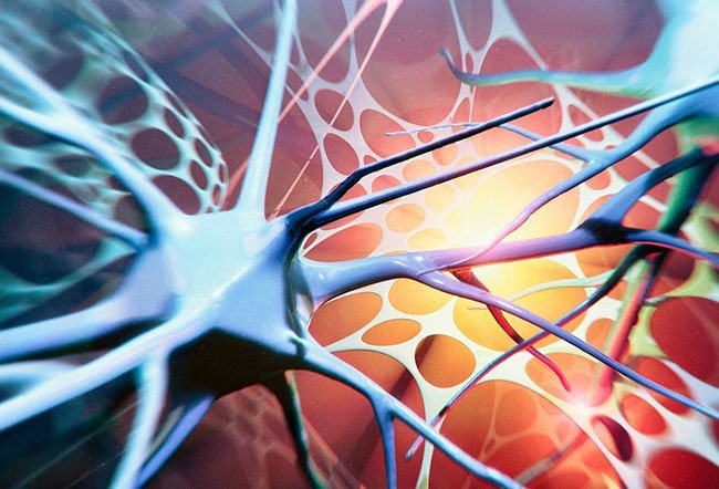 بیماری sma یا آتروفی عضلانی نخاعی بیماری sma یا آتروفی عضلانی نخاعی