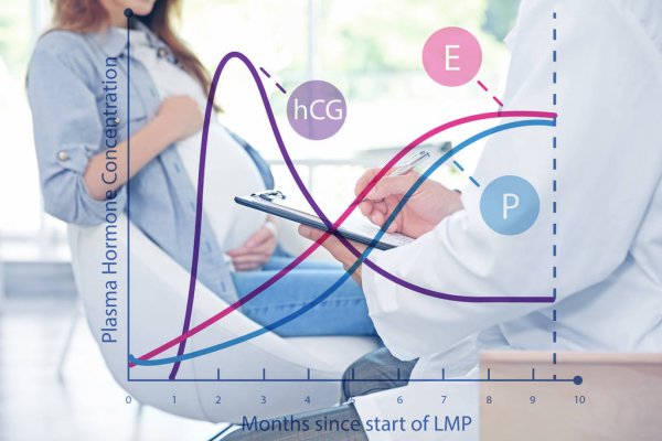 هورمون بارداری