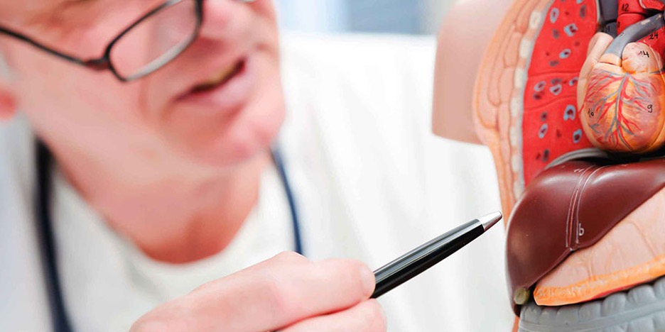 آمادگی جهت انجام آزمایش کبد چرب