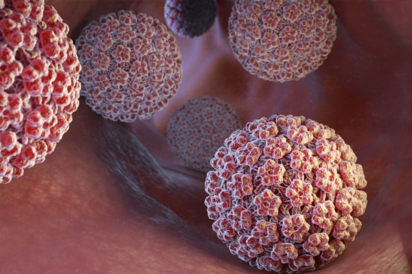 طول عمر ویروس HPV روی سطوح