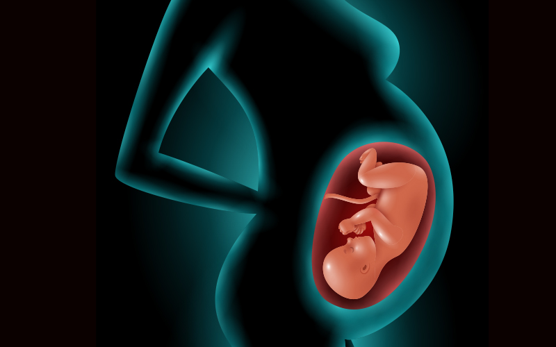 سایز شکم در بارداری سایز شکم در بارداری