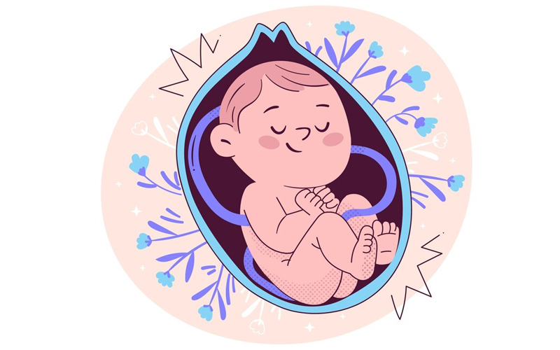 هشدار های 28هفتگی در دورا ن بارداری