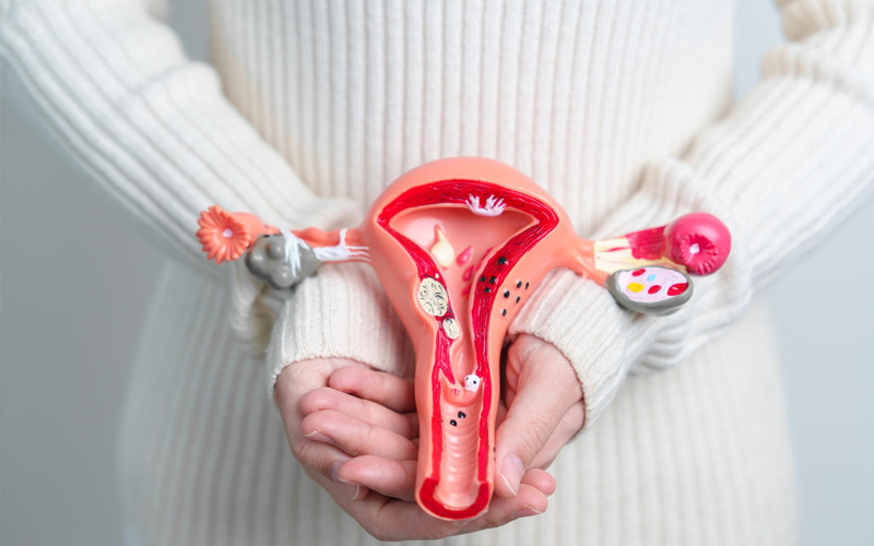 نکته های مهم برای سونوگرافی فولیکول