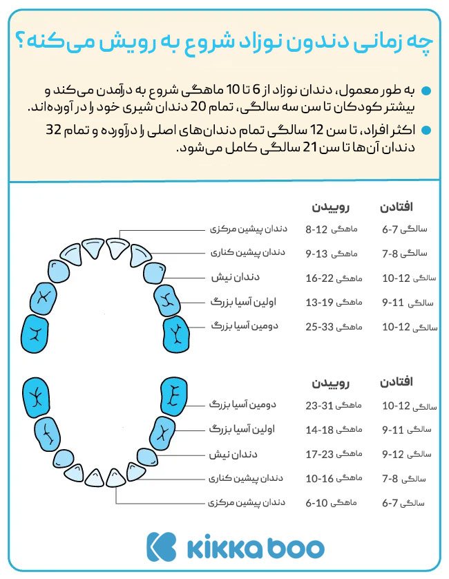 جدول ترتیب دندان درآوردن کودک