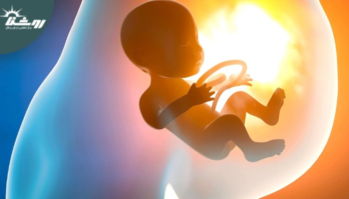 تاثیر استرس و تپش قلب مادر بر جنین