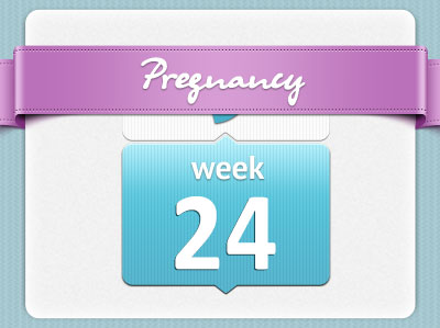 هفته بیست و چهارم بارداری