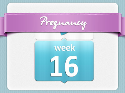 هفته شانزدهم بارداری هفته شانزدهم بارداری