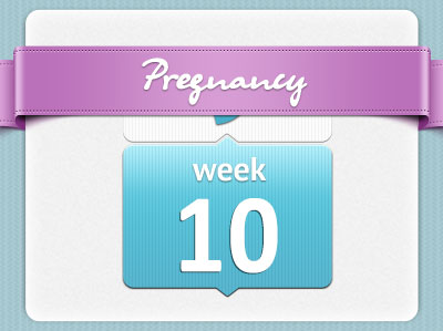 هفته دهم بارداری هفته دهم بارداری
