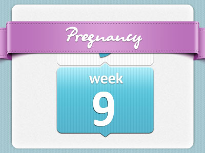 هفته نهم بارداری | تکامل جنین در هفته 9 بارداری