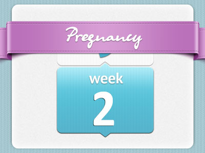 هفته دوم بارداری هفته دوم بارداری