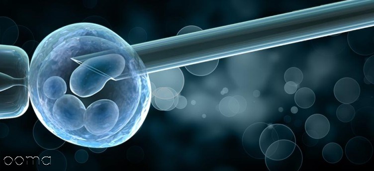خونریزی پس از انتقال جنین ( IVF) خونریزی پس از انتقال جنین ( IVF)