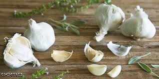 معجونی که 10 برابر قویتر از "پنیسیلین" است! معجونی که 10 برابر قویتر از "پنیسیلین" است!