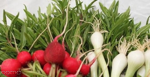 درمان بی خوابی و مشکلات دیگر با گیاهی در سبزی خوردن درمان بی خوابی و مشکلات دیگر با گیاهی در سبزی خوردن