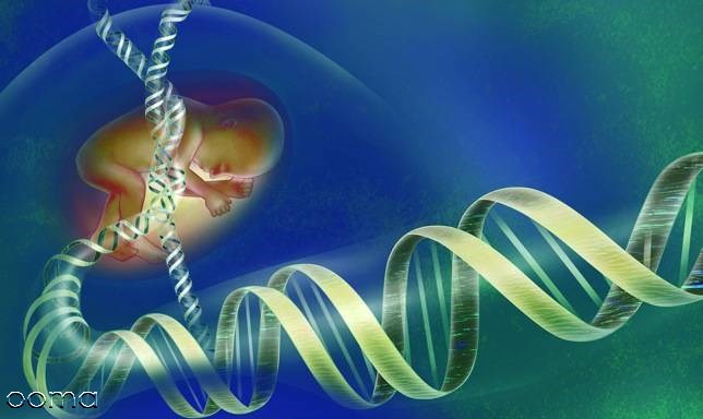 روش PGD چیست+چگونگی انجام روش PGD چیست+چگونگی انجام