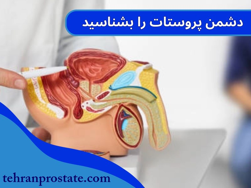 دشمن پروستات را بشناسید با عوامل خطر و غذاهای مفید و مضر آشنا شوید! دشمن پروستات را بشناسید با عوامل خطر و غذاهای مفید و مضر آشنا شوید!