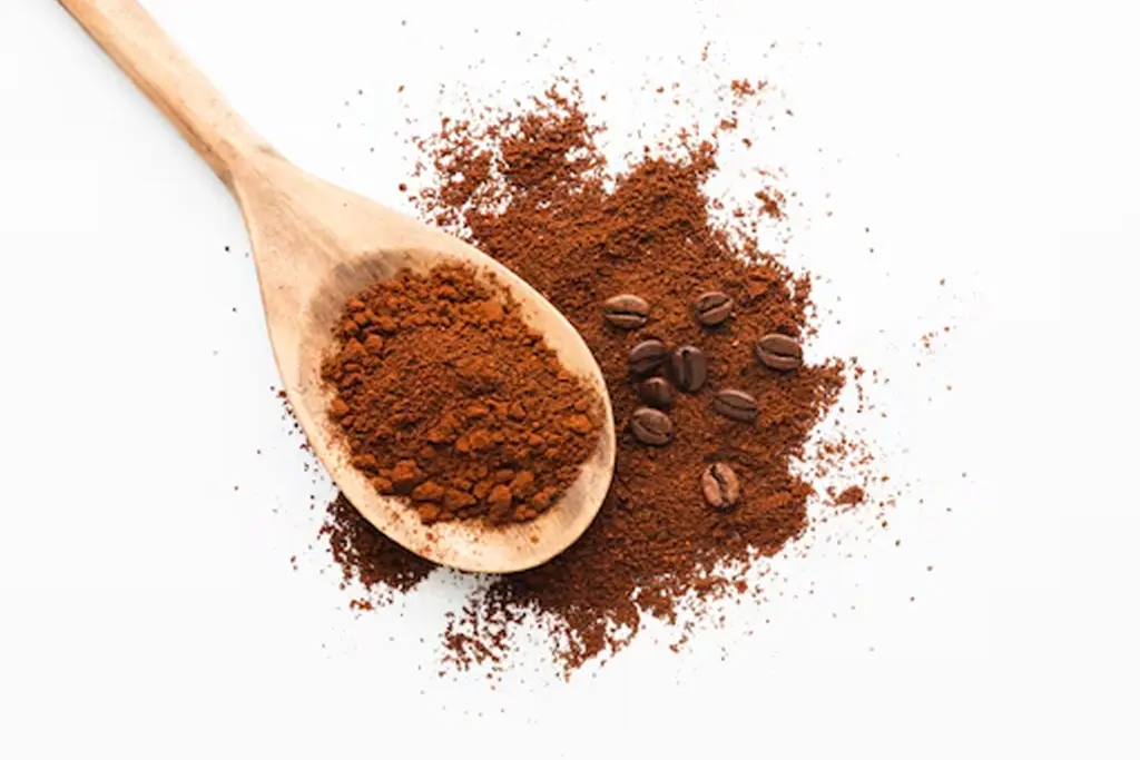 قهوه گانودرما در شیردهی: آیا مصرف آن ایمن است؟ (بررسی جامع، علمی و توصیههای پزشکان) قهوه گانودرما در شیردهی: آیا مصرف آن ایمن است؟ (بررسی جامع، علمی و توصیههای پزشکان)