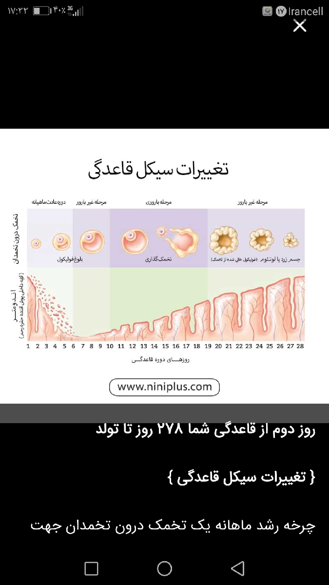 تاریخ دقیق تخمک گذاری