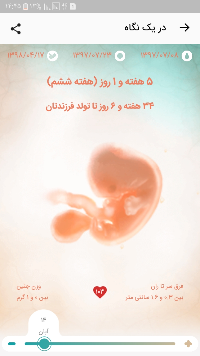 لطفا سن بارداری منو حساب کنید