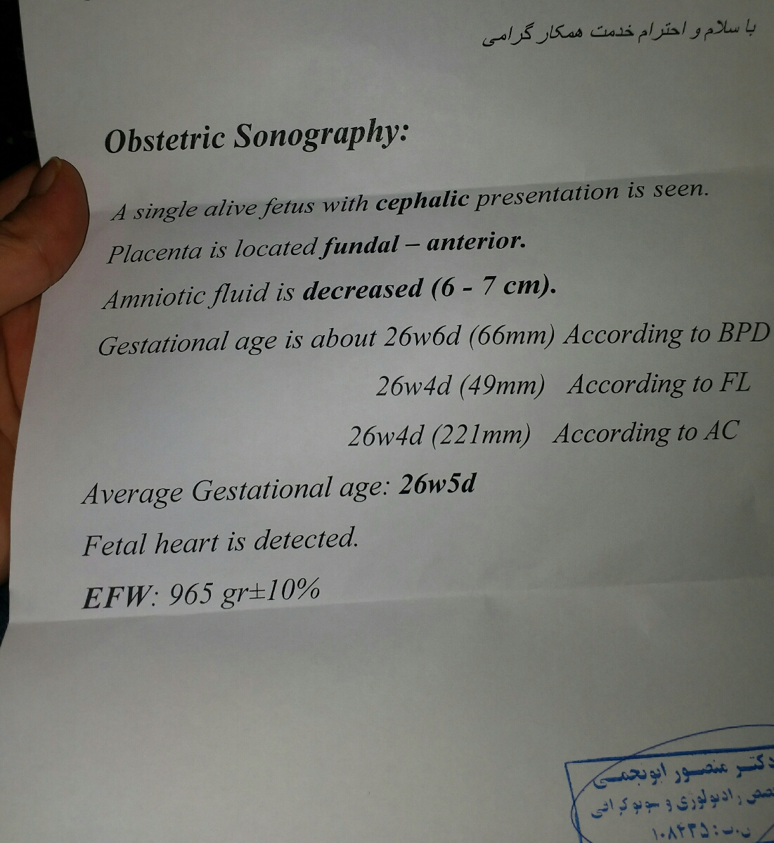 تفصیر سنو ۲۸هفتگی تفصیر سنو ۲۸هفتگی