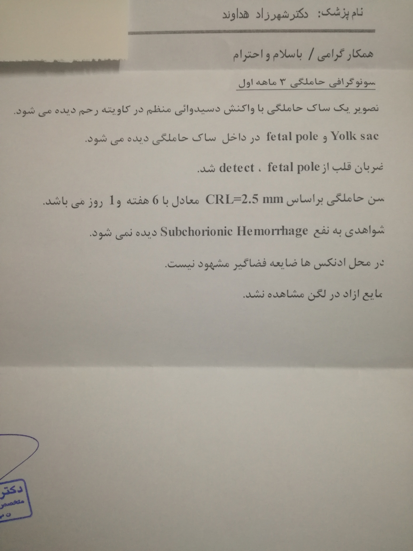 اولین سونوگرافی هشت هفته