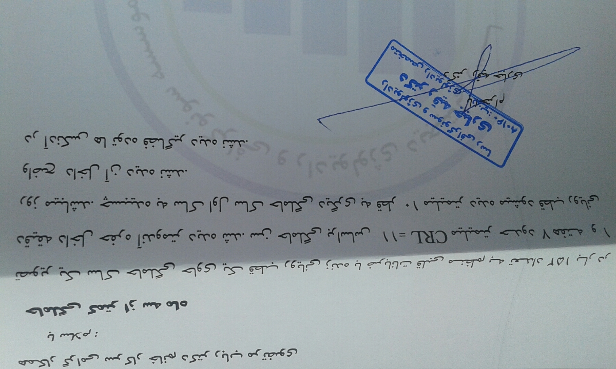 سونوگرافی اولیه بارداری