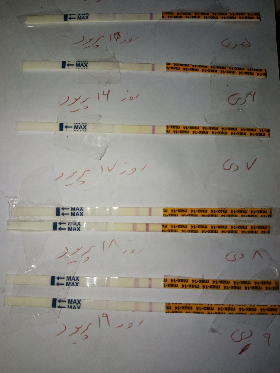 شرح کیت تخمک گذاری