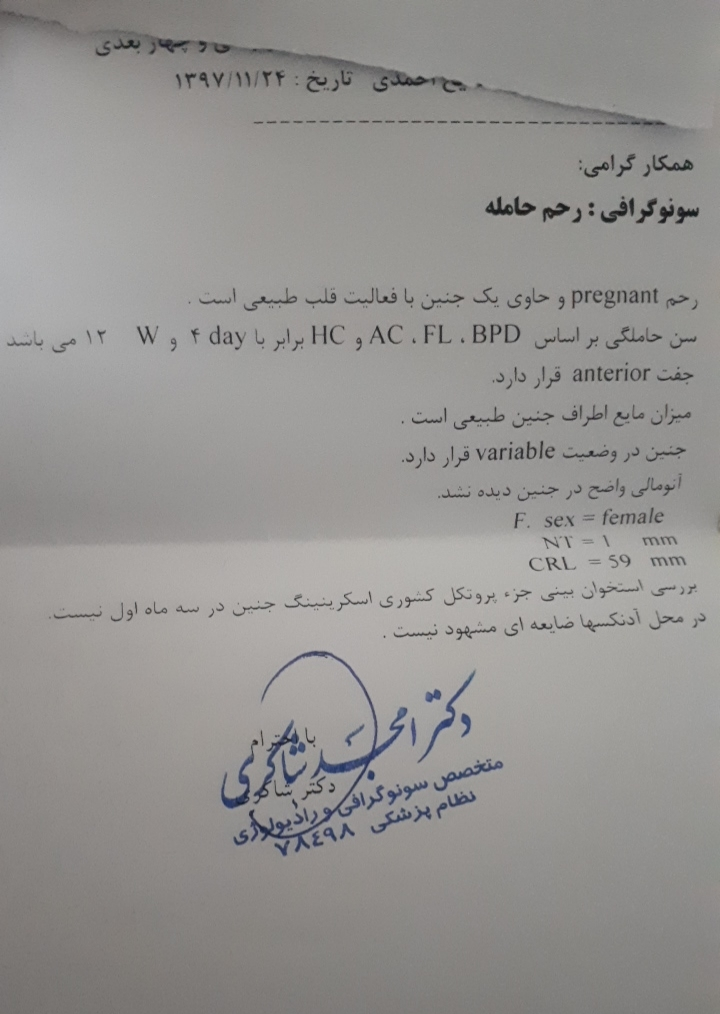 سنوگرافی Ntدر هفته دوازدهم سنوگرافی Ntدر هفته دوازدهم