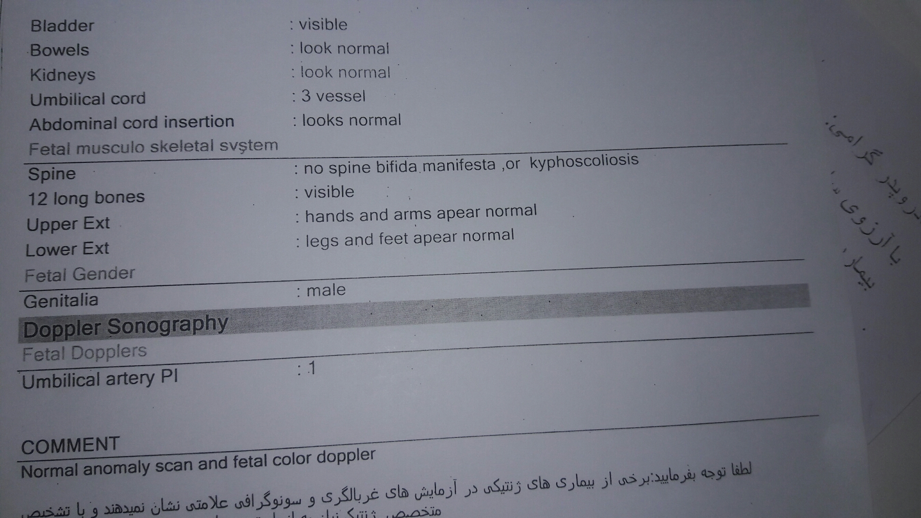 تفسیر سونوی هفته بیستم بارداری