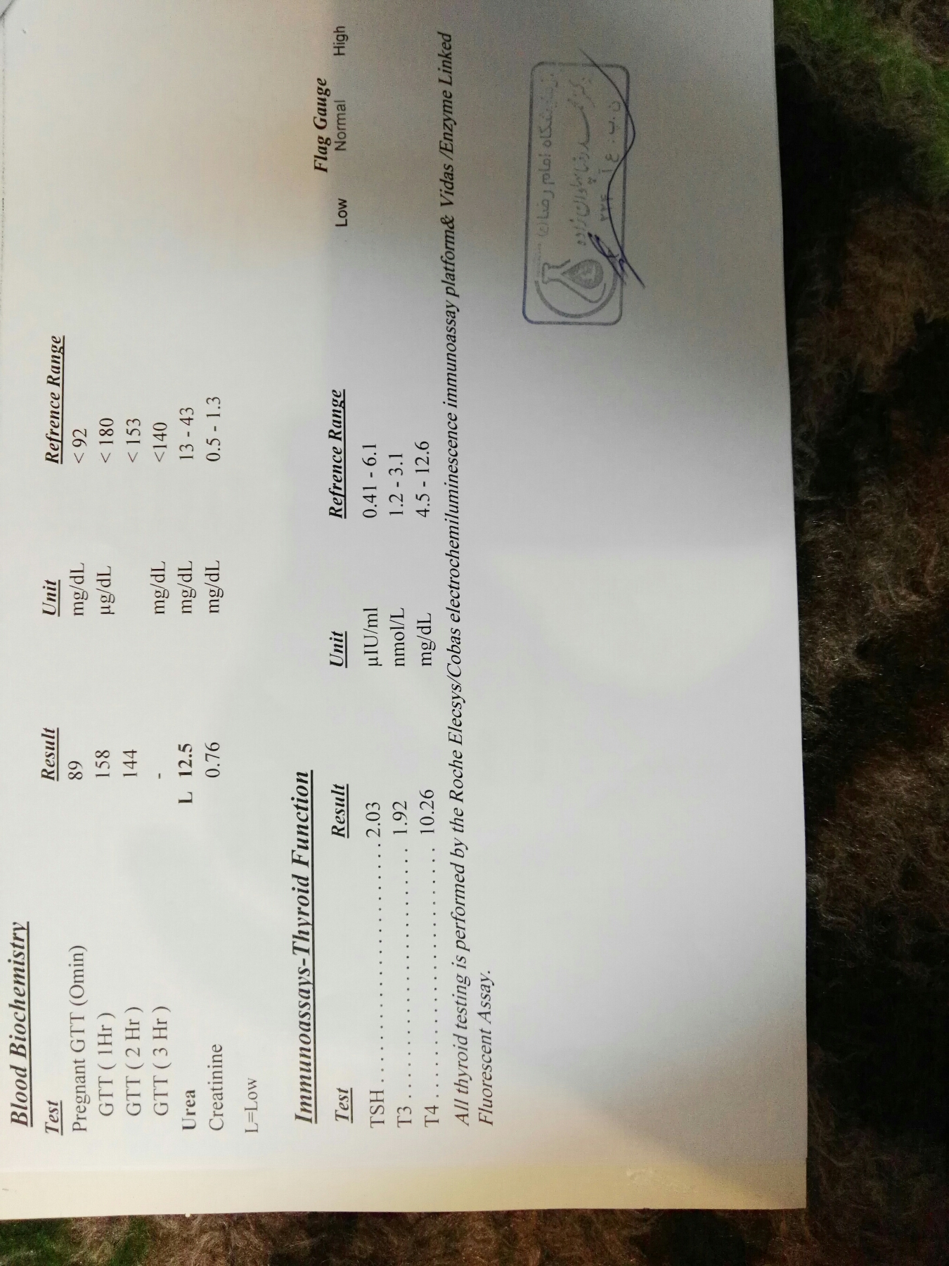 تفسیر ازمایش سه ماهه سوم