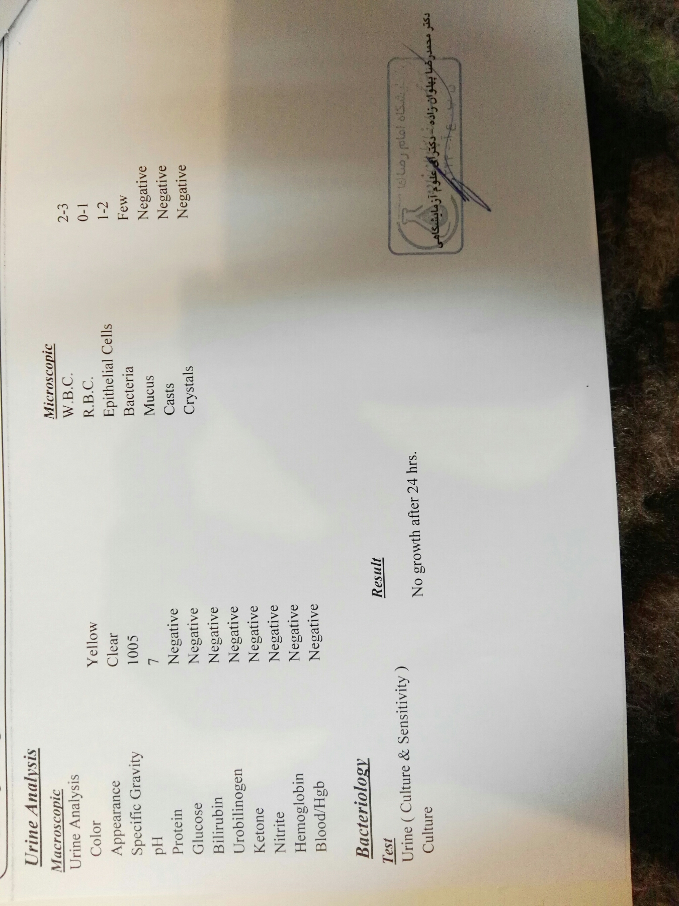 تفسیر ازمایش سه ماهه سوم