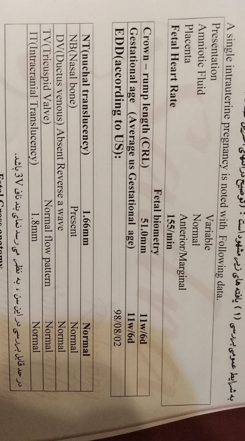 آزمایش غربالگری اول (nt)