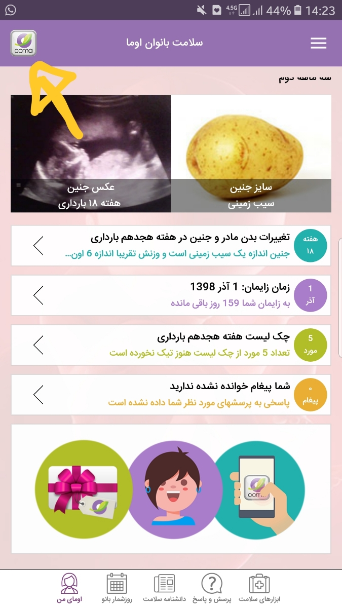 وارد کردن تاریخ زابمان