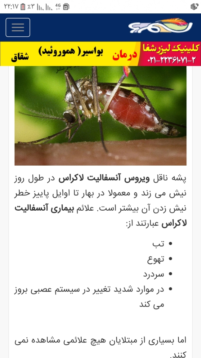 گزیدگی توسط حشرات در بارداری گزیدگی توسط حشرات در بارداری