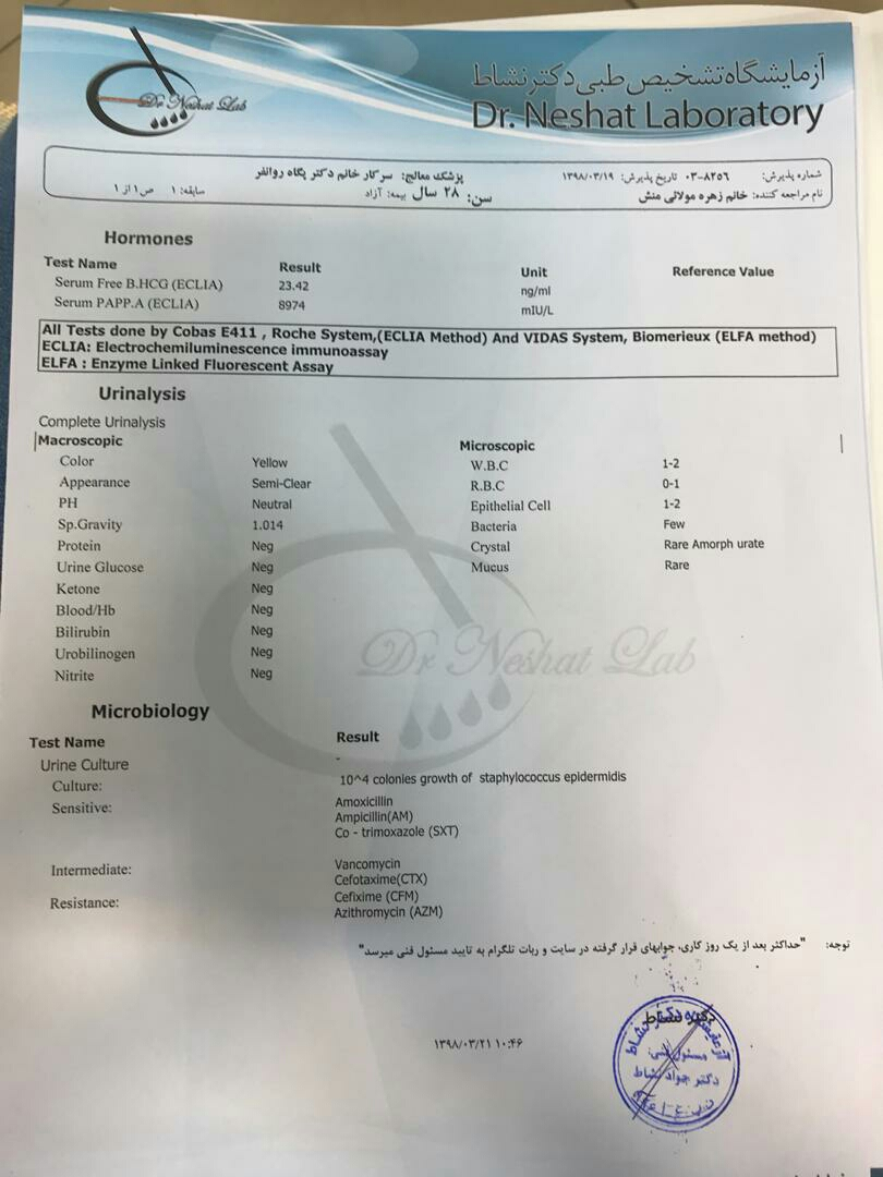 زمان سونوگرافی ها و غربالگری های ضروری بارداری زمان سونوگرافی ها و غربالگری های ضروری بارداری