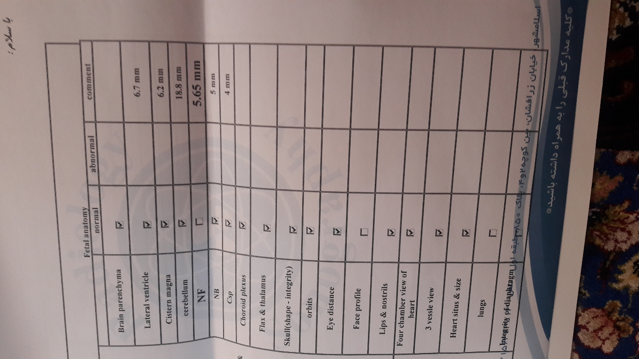 تفسیر سونوی انومالی جنین در هفته بیست