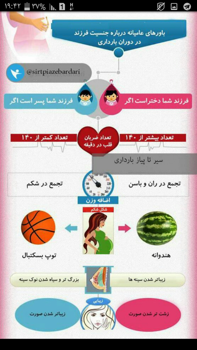 علائم جنسیت جنین پسر علائم جنسیت جنین پسر