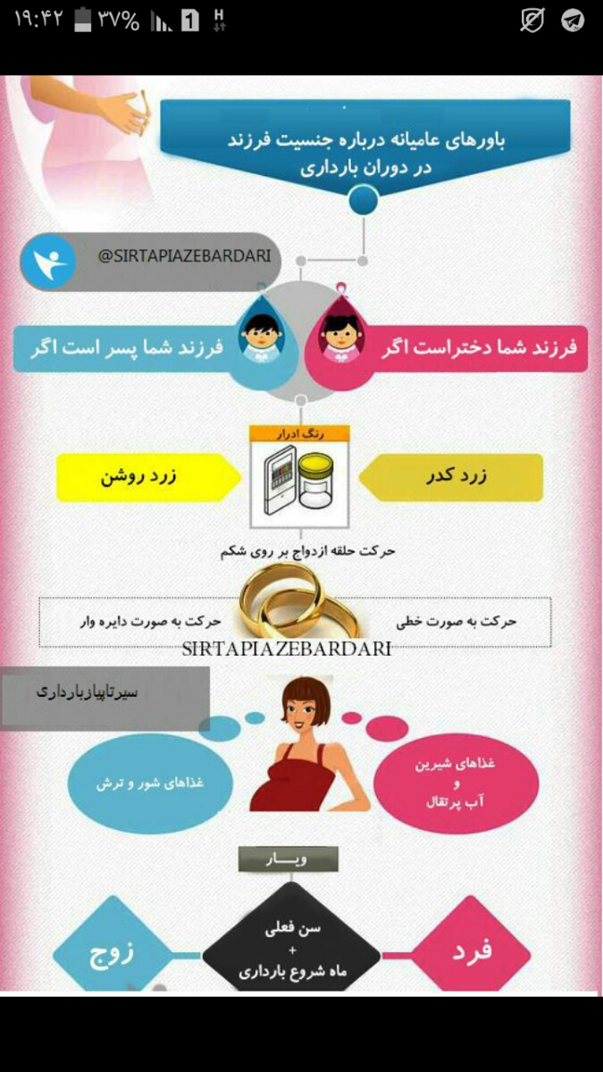 علائم جنسیت جنین پسر علائم جنسیت جنین پسر