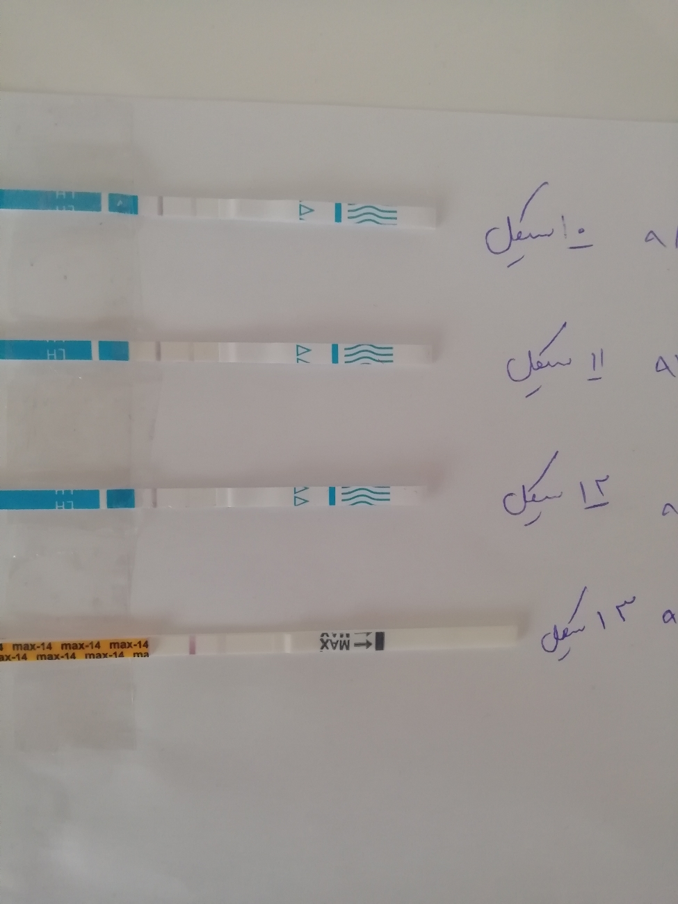 داشتن فولیکول بالغ ولی کیت تخمک گذاری منفی داشتن فولیکول بالغ ولی کیت تخمک گذاری منفی