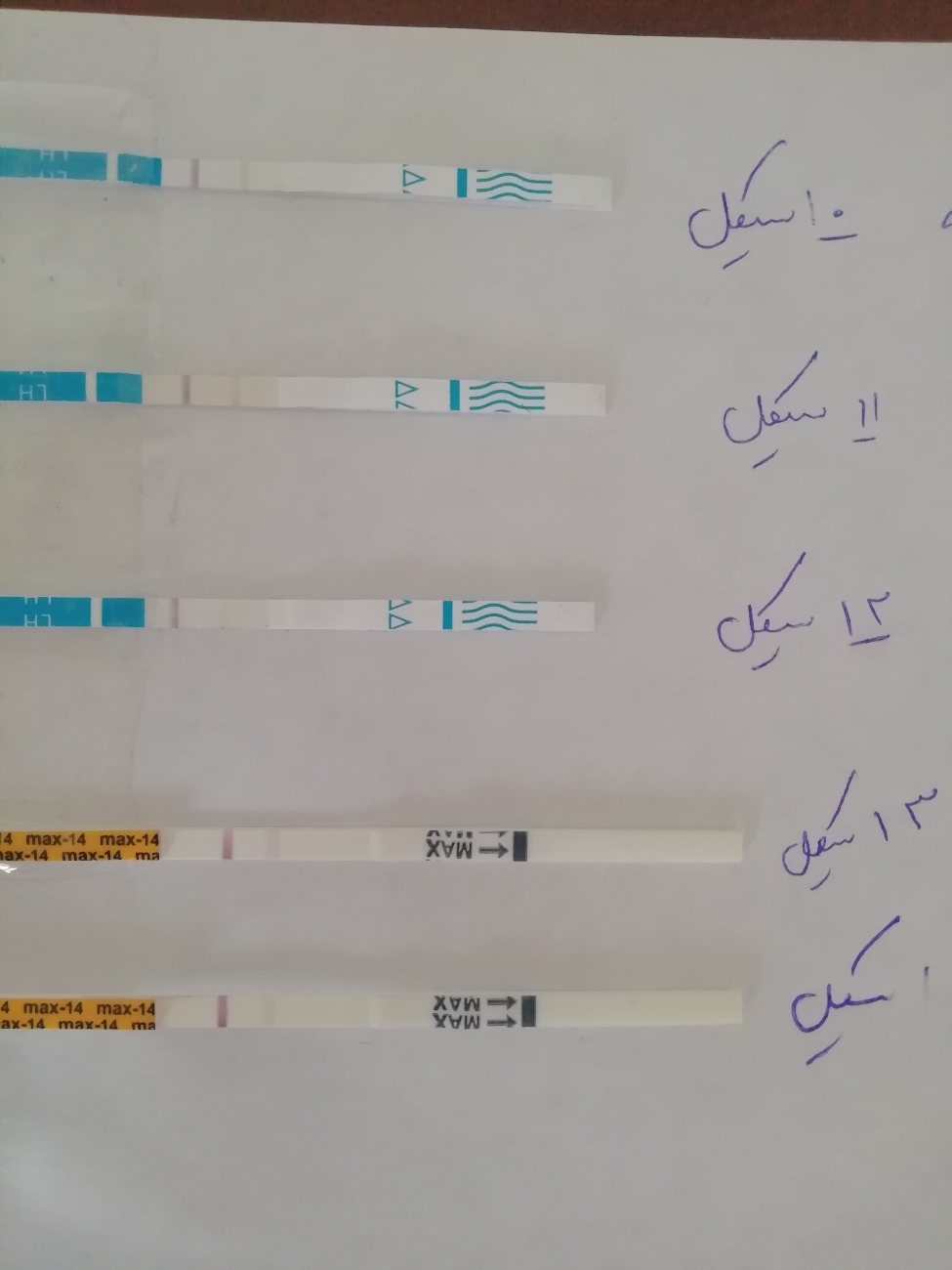 داشتن فولیکول بالغ ولی کیت تخمک گذاری منفی داشتن فولیکول بالغ ولی کیت تخمک گذاری منفی