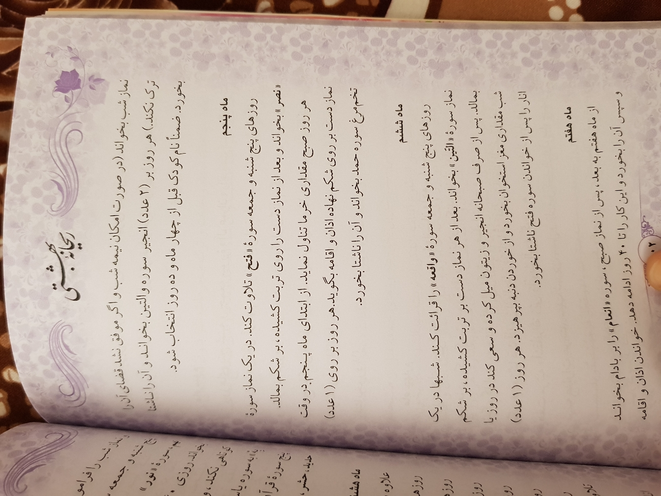 برای زیبا شدن جنین چی خوبه؟؟؟؟؟؟ برای زیبا شدن جنین چی خوبه؟؟؟؟؟؟