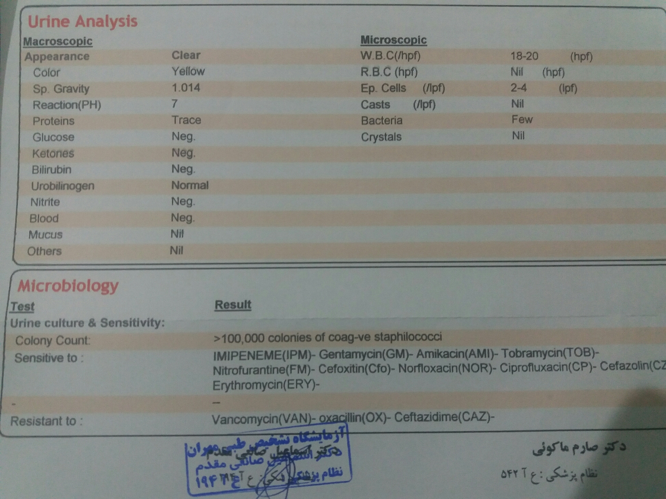 تفسیر آزمایش کشت ادرار و چربی خون