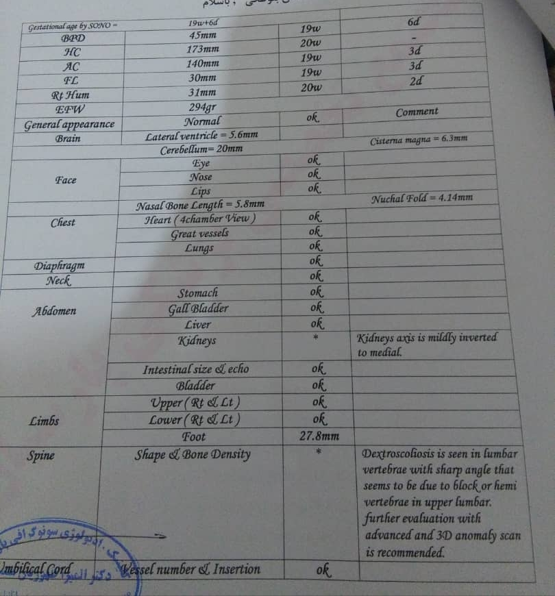 تفسیر سونوگرافی انومالی هفته 17 هم