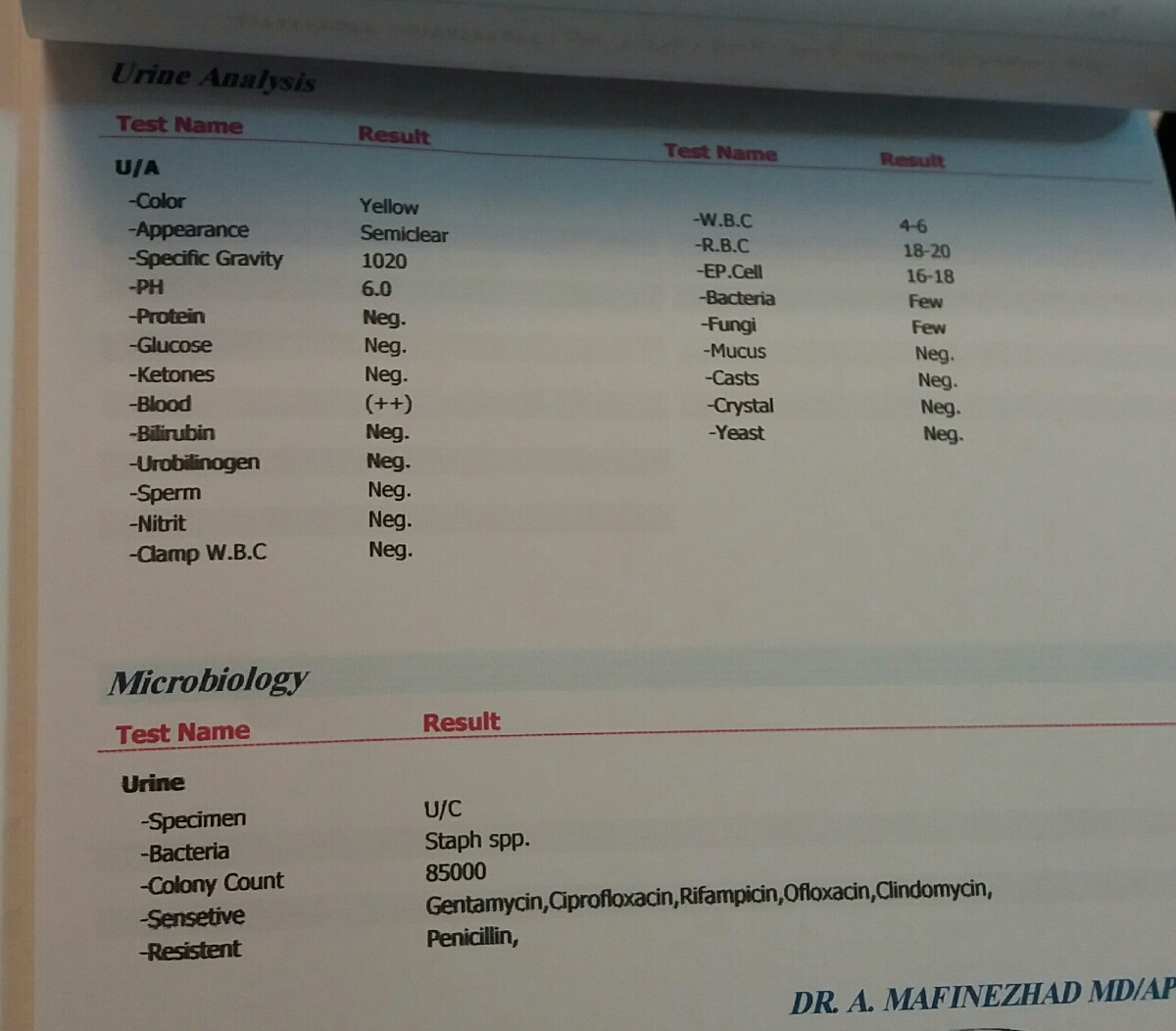 آزمایش خون و ادرار و سونو ۳۱ هفتگی آزمایش خون و ادرار و سونو ۳۱ هفتگی