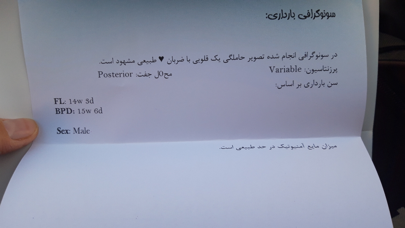 تفسیر سونوگرافی هفته ۱۶ تفسیر سونوگرافی هفته ۱۶