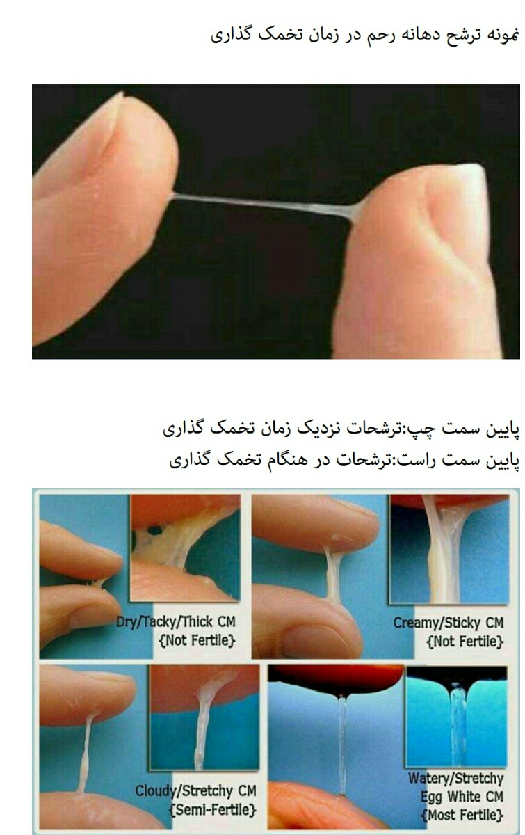 نشانه تخمک گذاری چه چیزایی هست