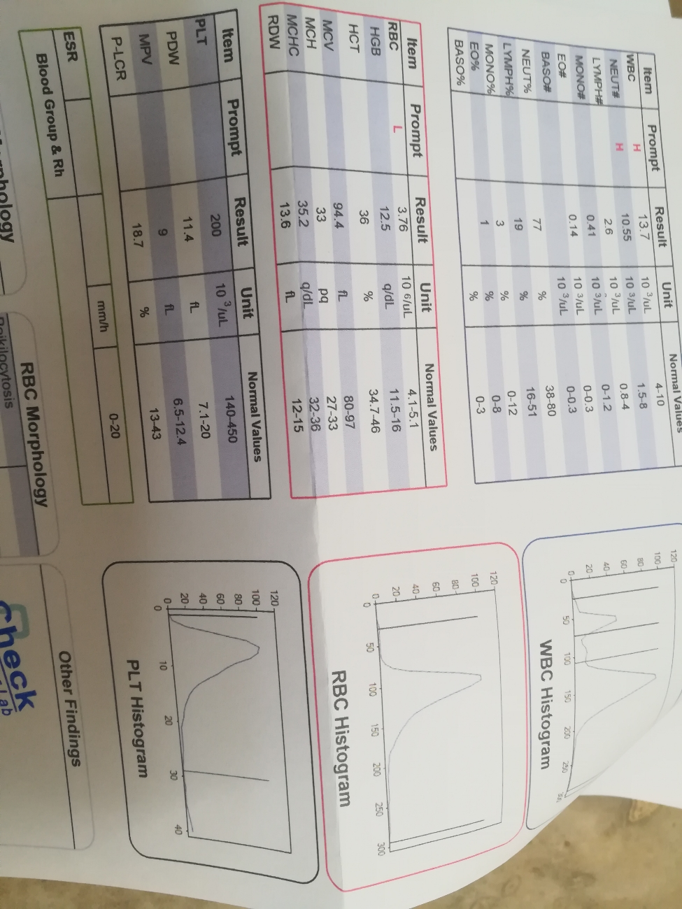 تفسیر آزمایش خون ۲۴ هفتگی