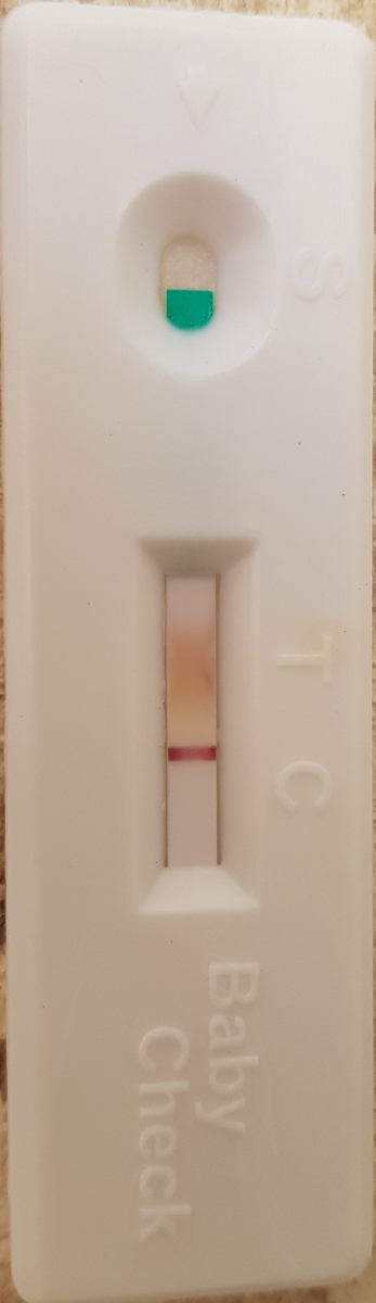 آیا این بی بی چک مثبت هست ؟؟؟؟