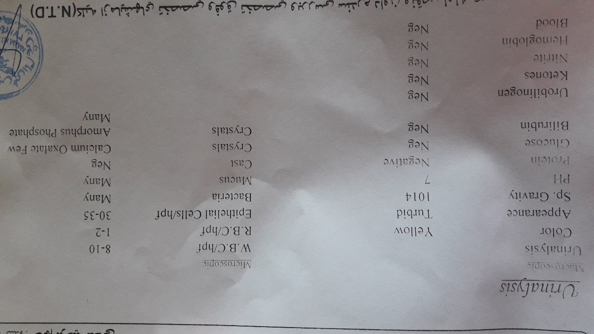 ازمایش ادرار بارداری ماه هشتم ازمایش ادرار بارداری ماه هشتم